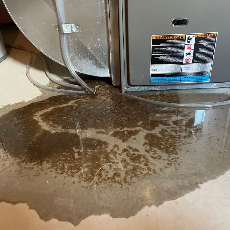 Pipe Burst and Leak Restoration in Giddings, TX
