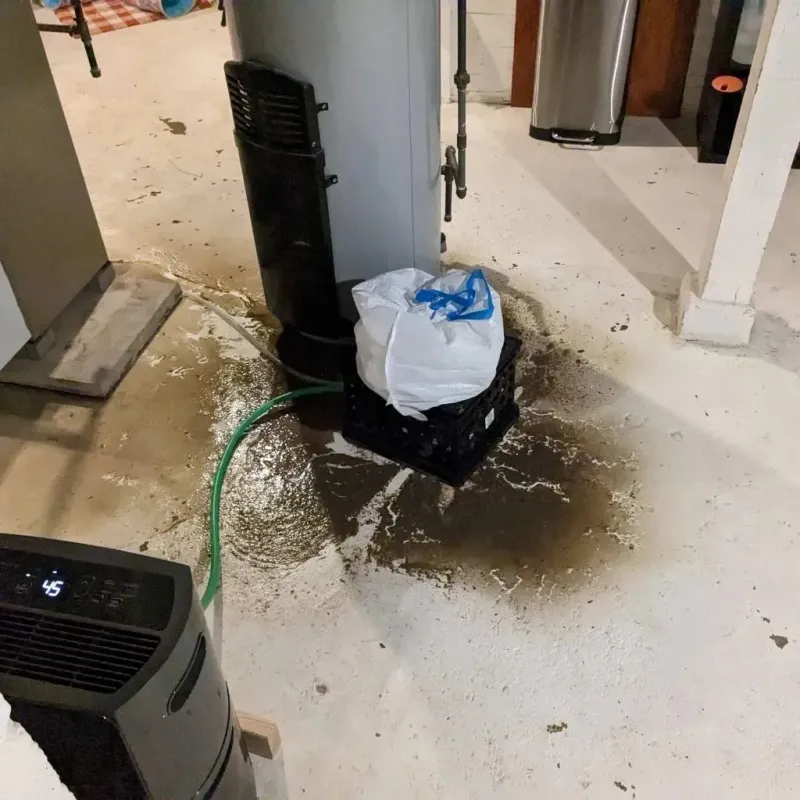 Sewage Backup Cleanup Service in Giddings, TX